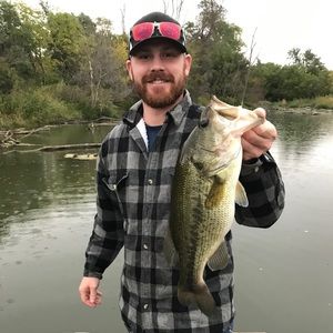 Meet your Posher, Kellon